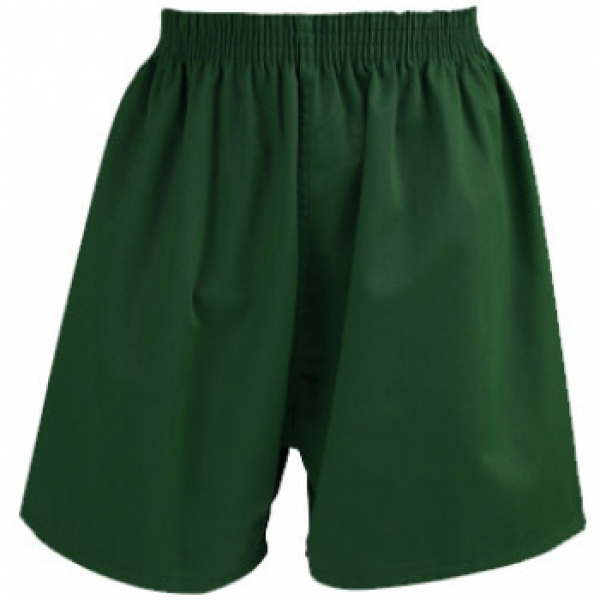 Summer Shorts (Green Polycotton)